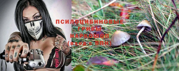 трава Алзамай