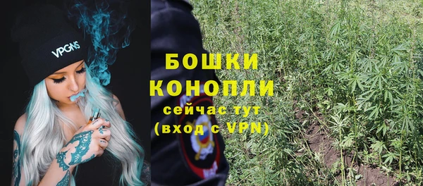 трава Алзамай