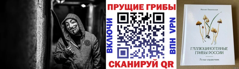 Галлюциногенные грибы GOLDEN TEACHER  Камызяк 